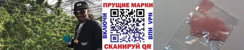 продажа наркотиков  Ветлуга  мориарти какой сайт  Марки N-bome 1,8мг 