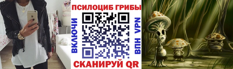 Псилоцибиновые грибы Magic Shrooms  маркетплейс формула  Ветлуга  гидра ссылки 